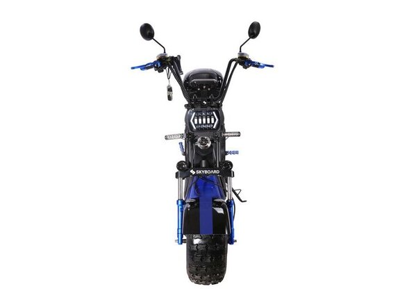 Электроскутер SKYBOARD BR20-2WD PRO FAST OFF-ROAD